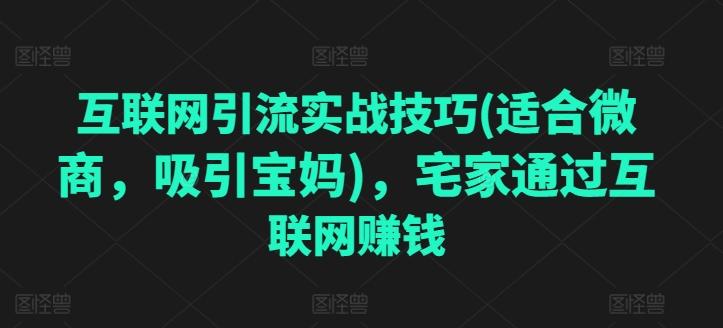 互联网引流实战技巧(适合微商，吸引宝妈)，宅家通过互联网赚钱-天使资源网