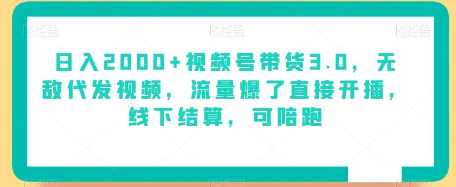 日入2000+视频号带货3.0，无敌代发视频，流量爆了直接开播，线下结算，可陪跑-天使资源网