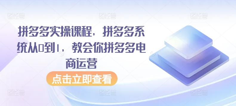 拼多多实操课程，拼多多系统从0到1，教会你拼多多电商运营-天使资源网