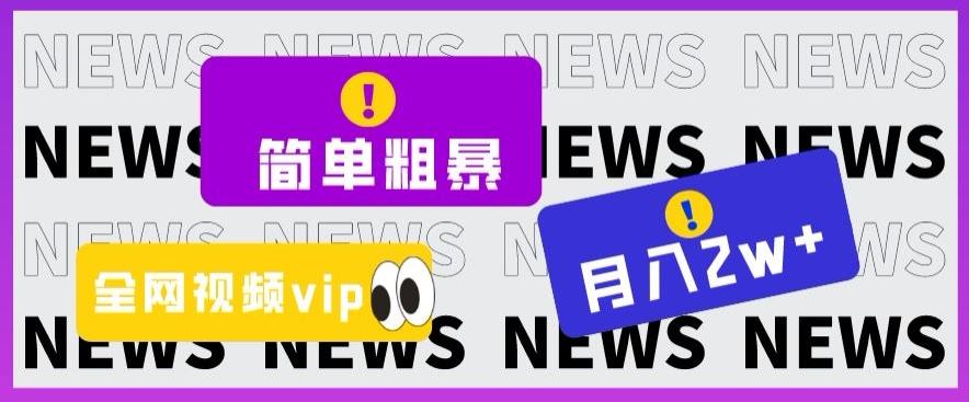 简单粗暴零成本，高回报，全网视频VIP掘金项目，月入2万＋【揭秘】-天使资源网