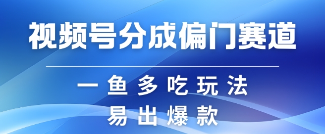 视频号创作者分成计划偏门类目，容易爆流，实拍内容简单易做【揭秘】-天使资源网