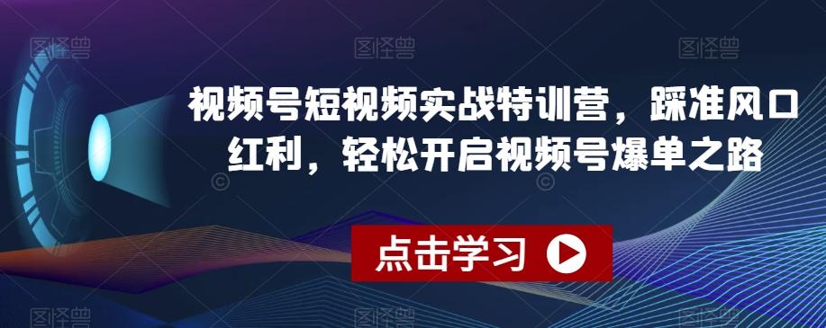 视频号短视频实战特训营，踩准风口红利，轻松开启视频号爆单之路-天使资源网