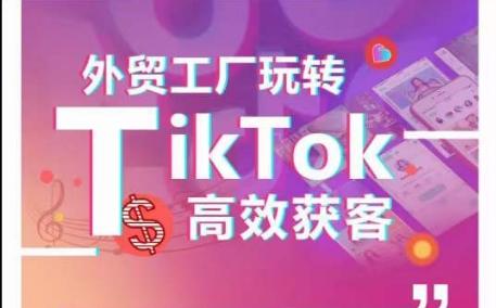 外贸工厂玩转TikTok高效获客，多种引流方式与账号定位技巧，拆解爆款短视频打造成功案例-天使资源网