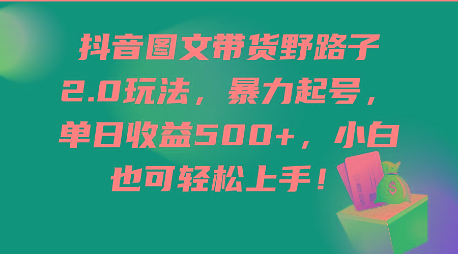 (9790期)抖音图文带货野路子2.0玩法，暴力起号，单日收益500+，小白也可轻松上手！-天使资源网