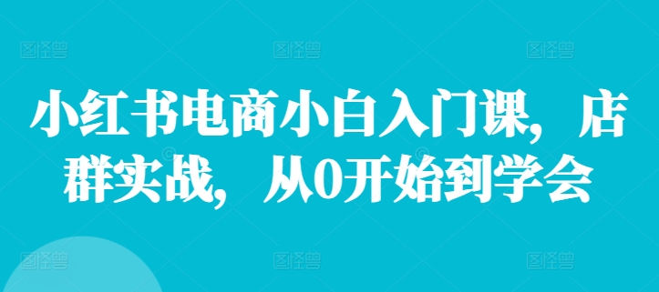 小红书电商小白入门课，店群实战，从0开始到学会-天使资源网
