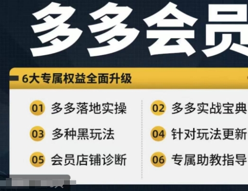 拼多多会员，拼多多实战宝典+实战落地实操，从新手到高阶内容全面覆盖-天使资源网
