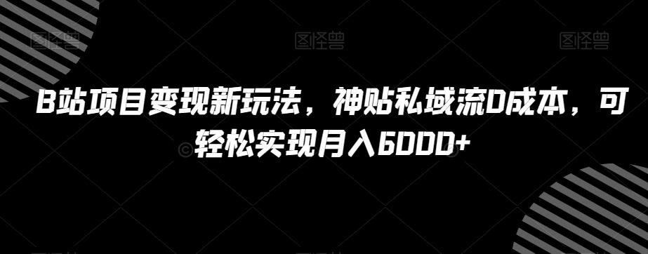 B站项目变现新玩法，神贴私域流0成本，可轻松实现月入6000+【揭秘】-天使资源网