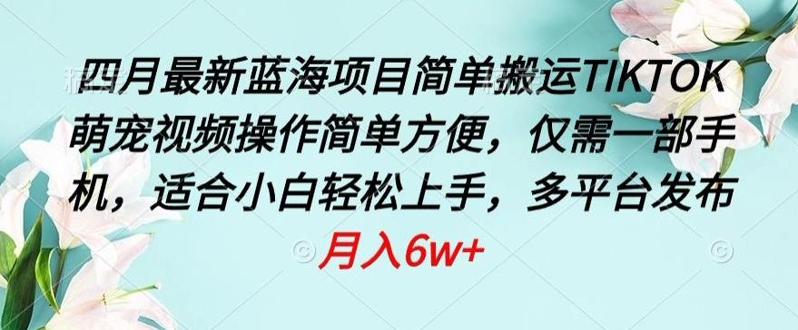 四月最新蓝海项目，简单搬运TIKTOK萌宠视频，操作简单方便，仅需一部手机【揭秘】-天使资源网