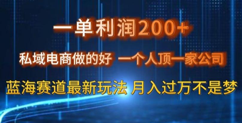 一单利润200私域电商做的好，一个人顶一家公司蓝海赛道最新玩法【揭秘】-天使资源网