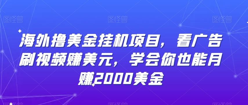 海外撸美金挂机项目，看广告刷视频赚美元，学会你也能月赚2000美金-天使资源网
