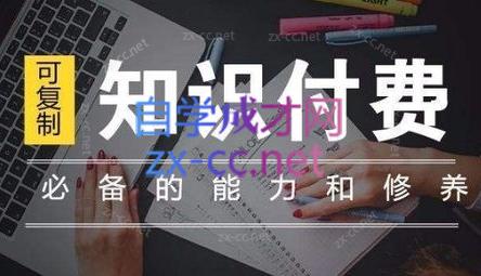 君哥·IP合伙人知识付费虚拟项目(更新24年6月)-天使资源网
