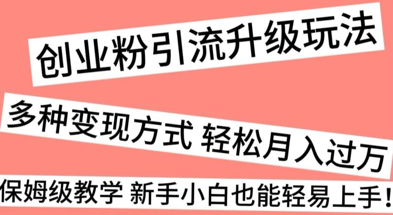 创业粉引流升级玩法，多种变现方式轻松月入过万，保姆级教学新手小白也能轻易上手！-天使资源网