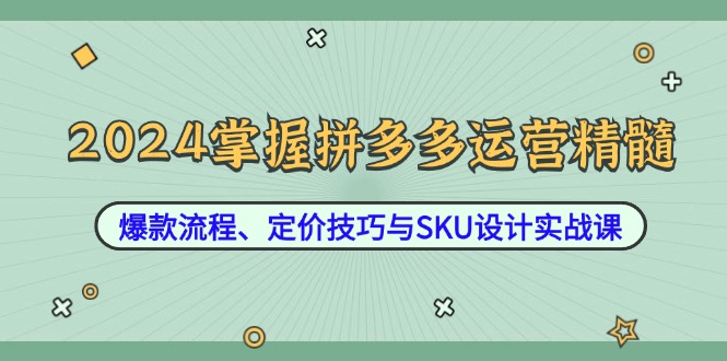 2024掌握拼多多运营精髓：爆款流程、定价技巧与SKU设计实战课-天使资源网