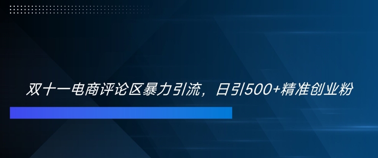 双十一电商评论区暴力引流，日引500+精准创业粉【揭秘】-天使资源网
