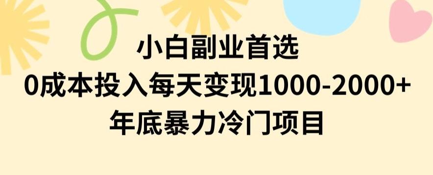 小白副业首选，0成本投入，每天变现1000-2000年底暴力冷门项目【揭秘】-天使资源网
