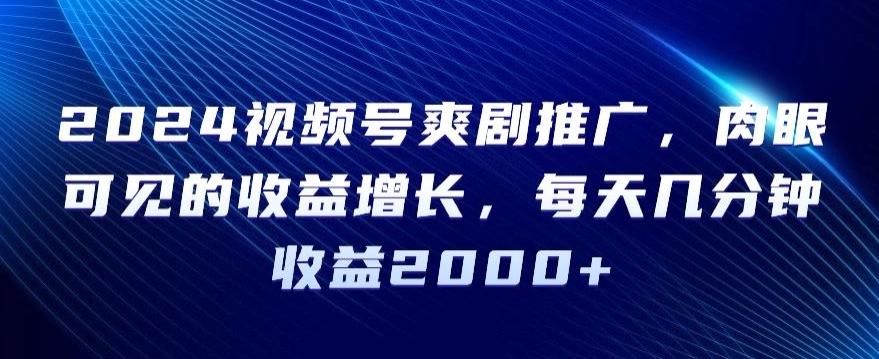 2024视频号爽剧推广，肉眼可见的收益增长，每天几分钟收益2000+【揭秘】-天使资源网