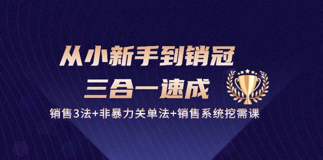 从小新手到销冠 三合一速成：销售3法+非暴力关单法+销售系统挖需课 (27节-天使资源网