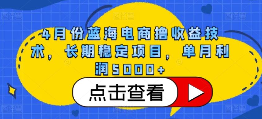 4月份蓝海电商撸收益技术，长期稳定项目，单月利润5000+【揭秘】-天使资源网