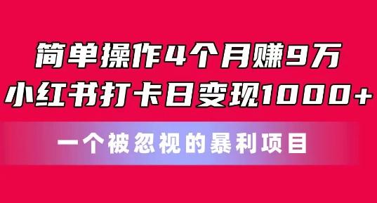 简单操作4个月赚9w，小红书打卡日变现1k，一个被忽视的暴力项目【揭秘】-天使资源网