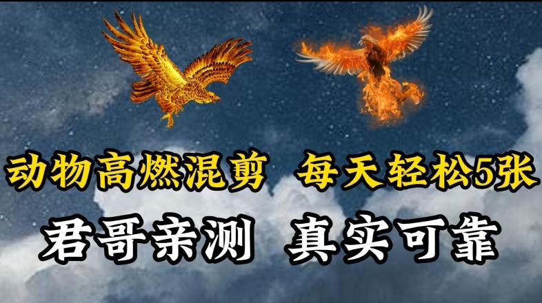 动物超燃混剪，每天轻松5张，剪辑简单大家爱看【揭秘】-天使资源网
