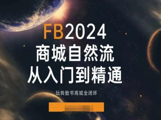 2024Faceboo商城自然流(从入门到精通)，玩转脸书商城全闭环-天使资源网