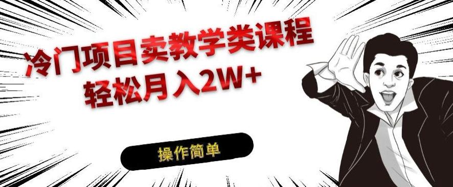 冷门项目卖教学类课程，轻松月入2W+-天使资源网
