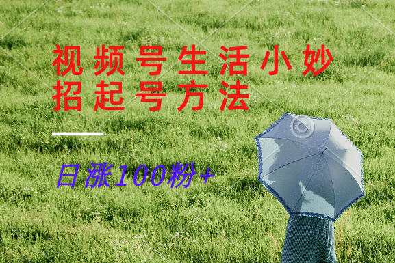 视频号生活小妙招分享赛道， 起号涨粉新方法，日涨100粉-天使资源网
