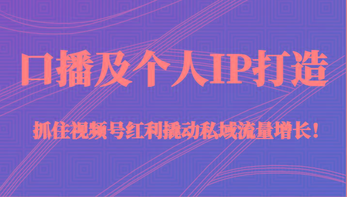 口播及个人IP打造，抓住视频号红利撬动私域流量增长！（45节课）-天使资源网