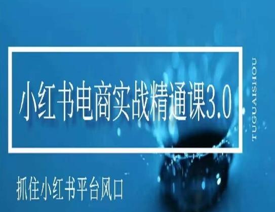 小红书电商实战精通课3.0，抓住小红书平台的风口，不错过有一个赚钱的机会-天使资源网