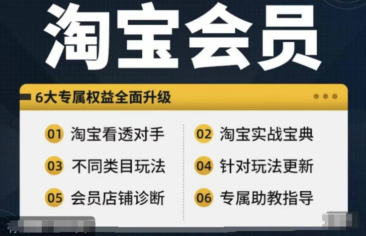 淘宝会员【淘宝所有课程，全面分析对手】，初级到高手全系实战宝典-天使资源网