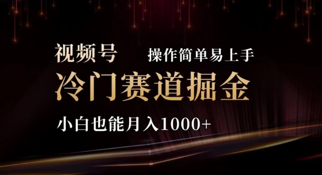 2024视频号冷门赛道掘金，操作简单轻松上手，小白也能月入1000+-天使资源网