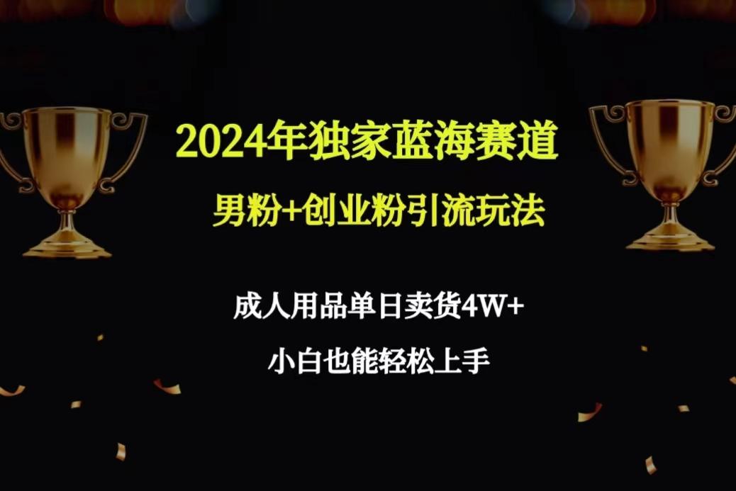 2024年独家蓝海赛道男粉+创业粉引流玩法，成人用品单日卖货4W+保姆教程-天使资源网