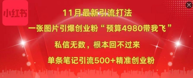 小红书11月最新图片打粉，一张图片引爆创业粉，“预算4980带我飞”，单条引流500+精准创业粉-天使资源网