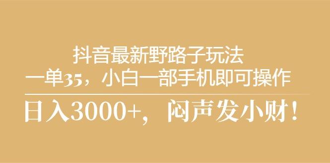 抖音最新野路子玩法，一单35，小白一部手机即可操作，，日入3000+，闷…-天使资源网