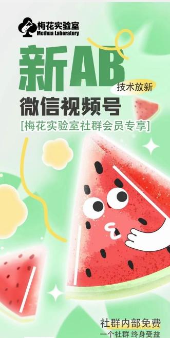 梅花实验室2024年AB技术视频号AB合成破解版-天使资源网