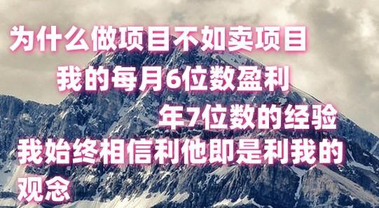 做项目不如卖项目，每月6位数盈利，年7位数经验-天使资源网