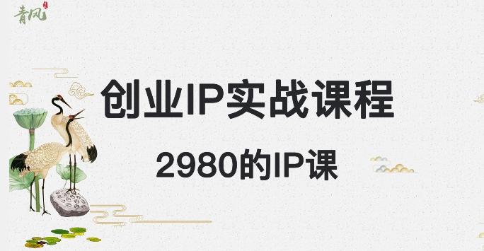 外边卖2980的创业IP课程，做私域月入5w+-天使资源网