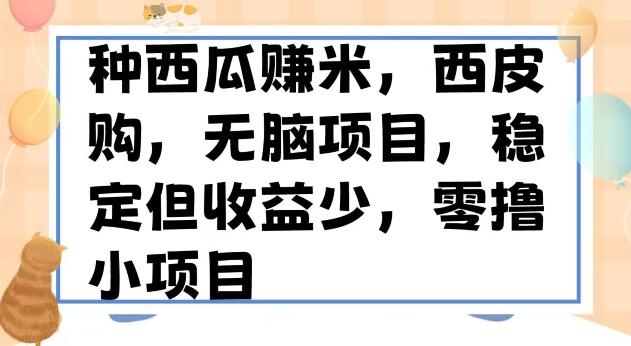 种西瓜赚米，西皮购稳定长久零撸小项目-天使资源网