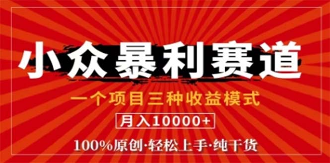 视频号最新爆火赛道，三种可收益模式，0粉新号条条原创条条热门 日入1000+-天使资源网