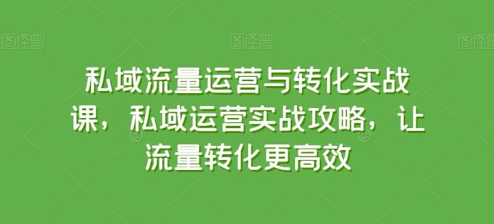 私域流量运营与转化实战课，私域运营实战攻略，让流量转化更高效-天使资源网