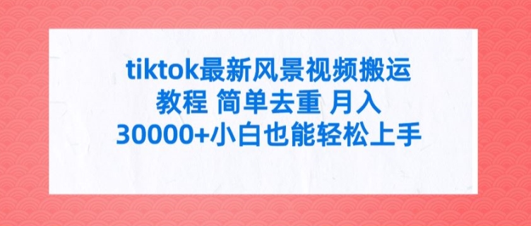 tiktok最新风景视频搬运教程 简单去重 月入3W+小白也能轻松上手【揭秘】-天使资源网