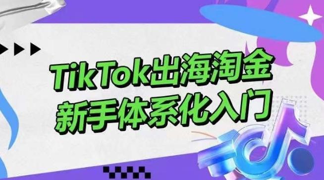 TikTok出海淘金，新手体系化入门，零基础快速入门，掌握短视频、直播带货等引流到变现的知识-天使资源网
