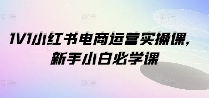 1V1小红书电商运营实操课，新手小白必学课-天使资源网