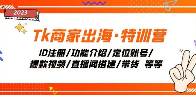 Tk商家出海·特训营：ID注册/功能介绍/定位账号/爆款视频/直播间搭建/带货-天使资源网