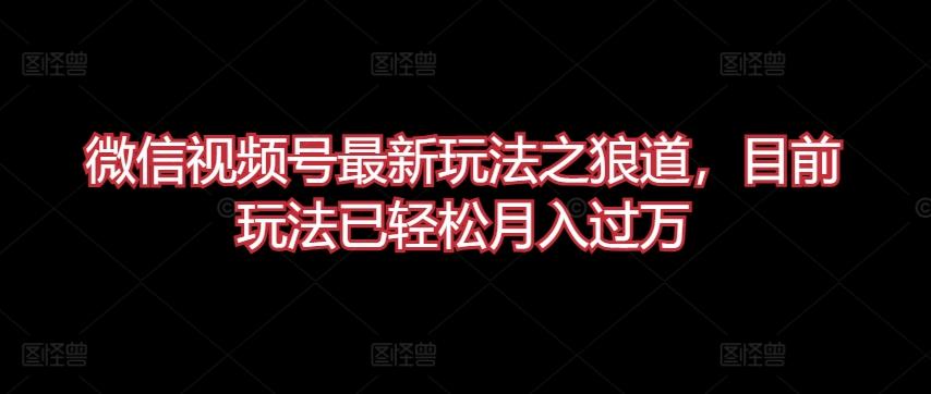微信视频号最新玩法之狼道，目前玩法已轻松月入过万【揭秘】-天使资源网