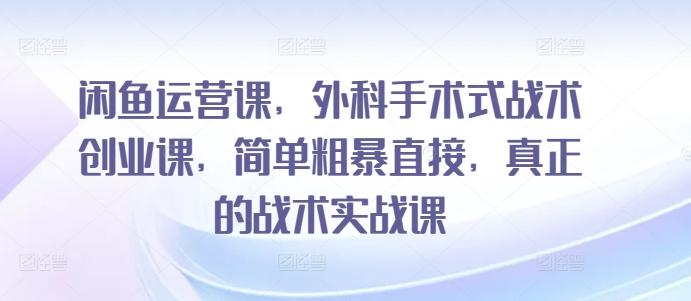闲鱼运营课，外科手术式战术创业课，简单粗暴直接，真正的战术实战课-天使资源网