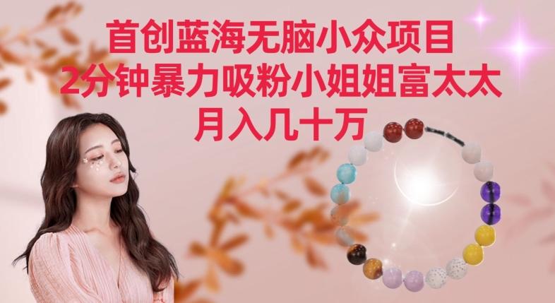 首创蓝海无脑小众项目，2分钟暴力吸粉小姐姐富太太，月入几十万【揭秘】-天使资源网