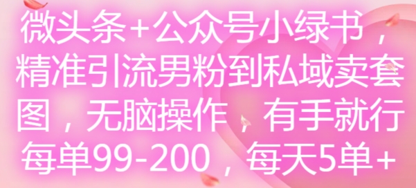 微头条+公众号小绿书，精准引流男粉到私域卖套图，无脑操作，有手就行，每单99-200，每天5单-天使资源网