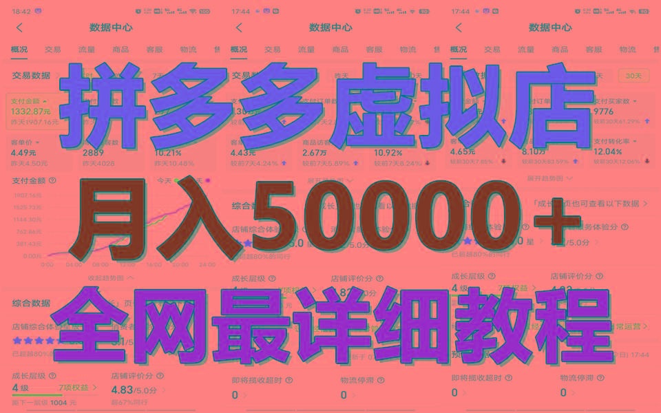 拼多多虚拟电商训练营月入50000+你也行，暴利稳定长久，副业首选-天使资源网