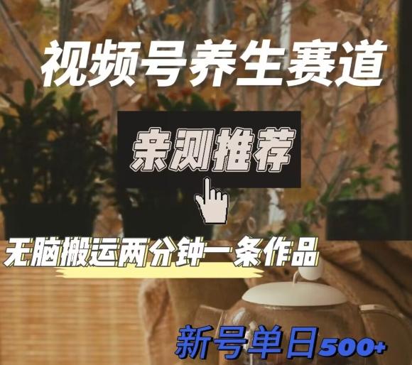 视频号养生赛道暴力掘金，无脑搬运，两分钟一条作品-新日单入500+-天使资源网